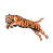 TR